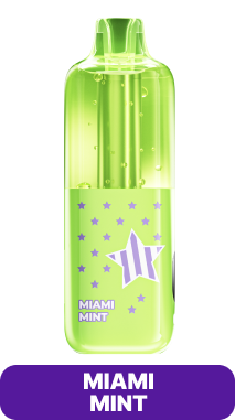 Miami Mint