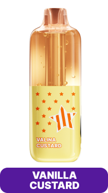 Vanilla Custard